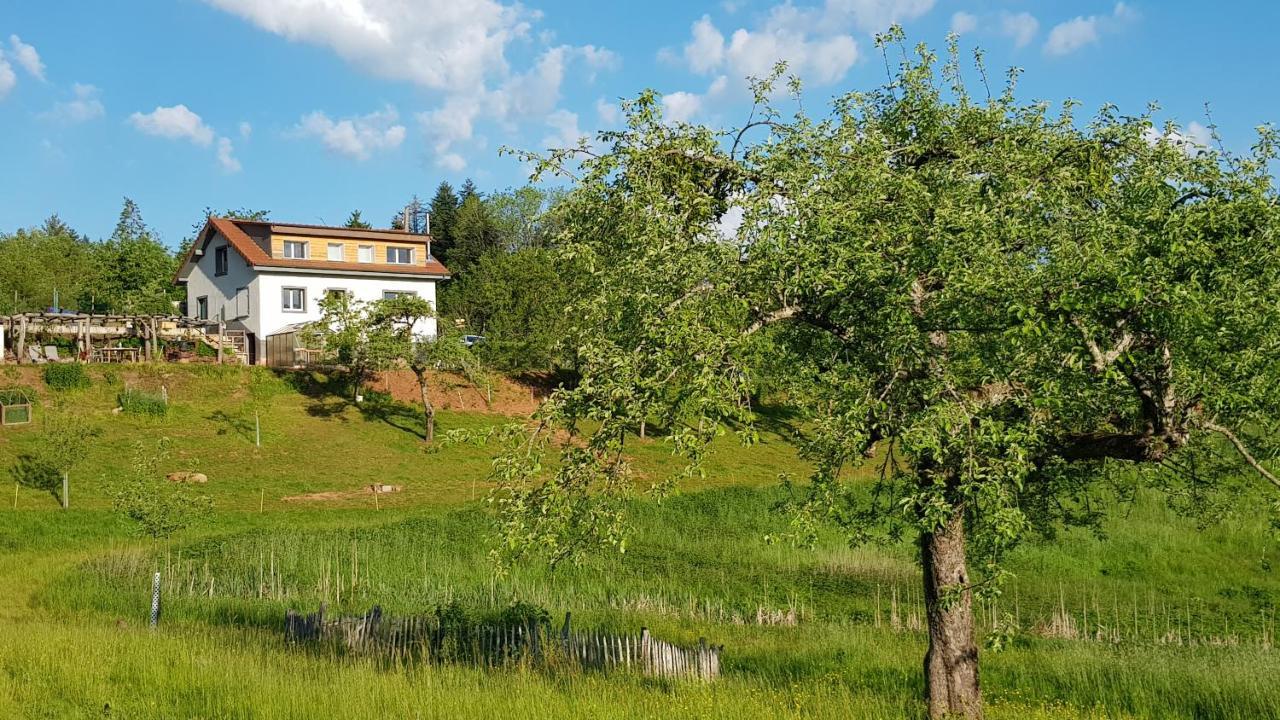 Coeur Vert Oekologisch Mit Viel Ambiente Fuer Seelen-Wellness Роншан Экстерьер фото